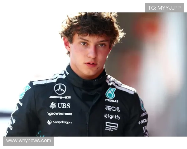 梅奔F1日本站前翼显野兽 梅奔F1日本站前翼显野兽